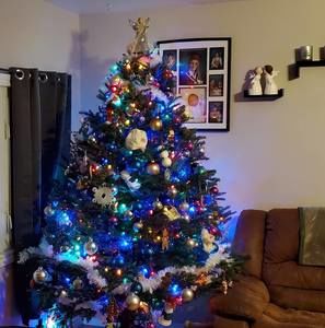 Meet your Posher, Tamara